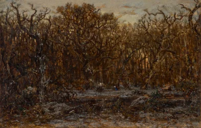Forêt au coucher du soleil en hiver