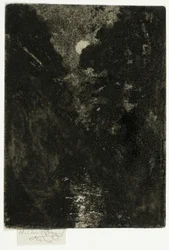 Arbres au clair de lune