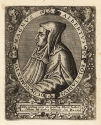 Albertus Magnus, évêque catholique allemand