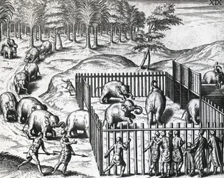 Chasse à l