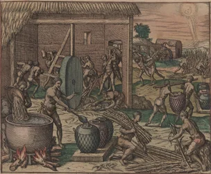 Des esclaves traitent la canne à sucre et fabriquent du sucre, 1595.