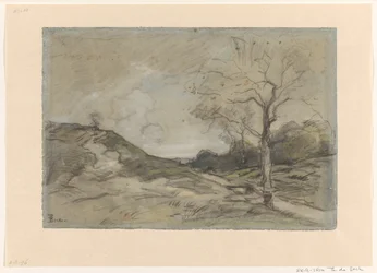 Paysage de dunes