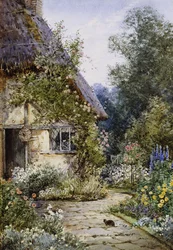 Un jardin de cottage avec un chat au premier plan; et une bordure de cottage en été