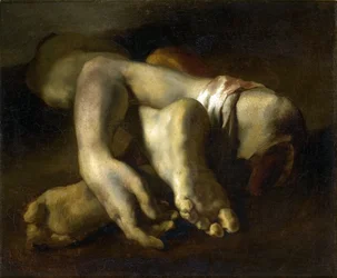 Étude des pieds et des mains
