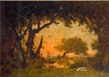Sortie de la forêt à Fontainebleau, coucher de soleil