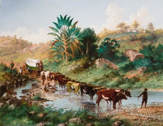 Wagon traversant un gué - Natal