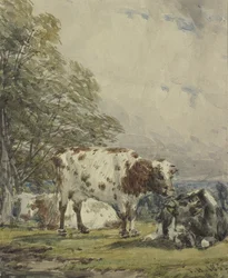 Étude de bétail, 19ème siècle