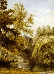 Paysage