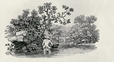 Pêcher un saumon de 