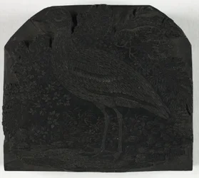Bloc de bois pour Le Grand Pluvier, de Une Histoire des Oiseaux Britanniques