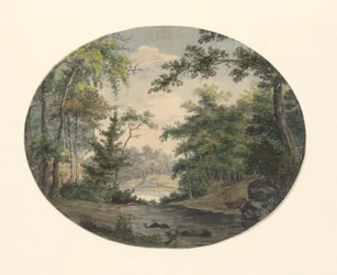 Paysage forestier