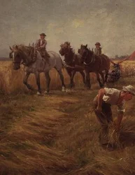 Scène de moisson