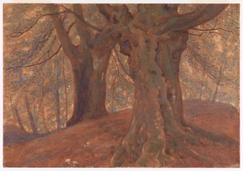 Burnham Beeches (en anglais)