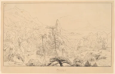 Narcisse