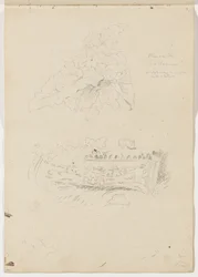 Plante dans le Colisée ; fragment architectural