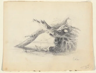 Esquisse de deux arbres morts