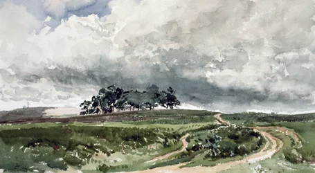 Scène de lande