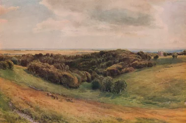 Parc d