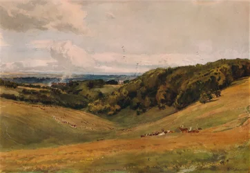 Parc d