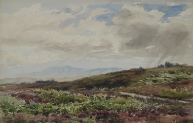 Vue vers Chanctonbury, West Sussex