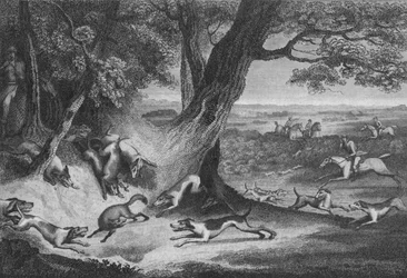 La mort du renard, 1793