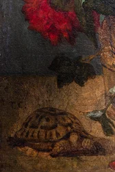 Bouquet de fleurs, detail : tortue, c 1862 or 1871 (Oil on canvas)