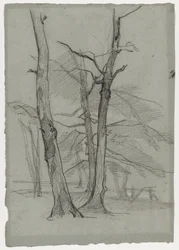 Étude de Paysage avec Arbres