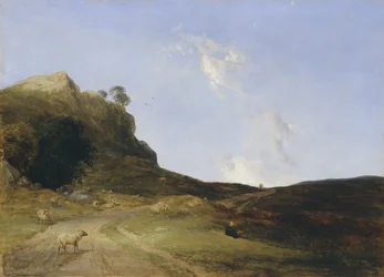 Paysage de lande