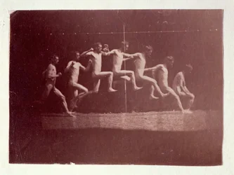 Photographies de la roue de Marey de George Reynolds