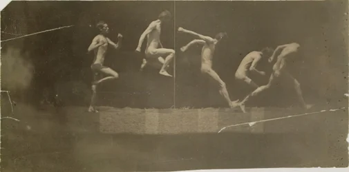 Photographies de la roue de Marey de George Reynolds, 1884