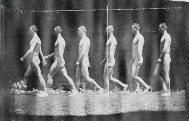 Photographies de la roue de Marey de Jesse Godley, 1884
