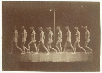 Photographies de la roue de Marey d