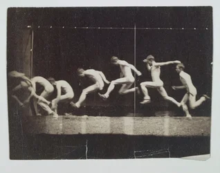 Photographies de la roue de Marey d