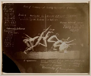 Photographies de la roue de Marey d