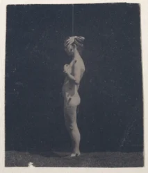 Modèle non identifié, 1884
