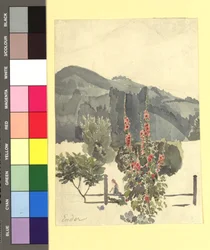 Studie (Landschaft mit Pappelrosen)