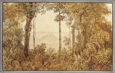 Vue sur Rio de Janeiro depuis la forêt de Tijuca