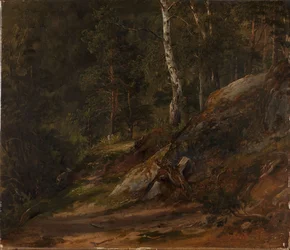 Étude de forêt de Romsdal