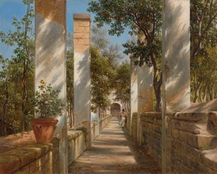 Pergola avec des oranges