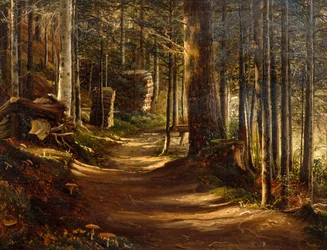 Route dans une forêt de conifères