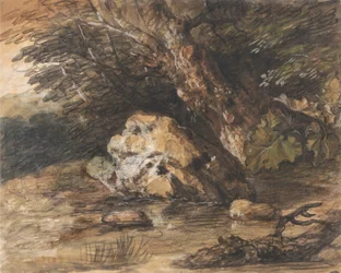 Une piscine boisée avec des rochers et des plantes