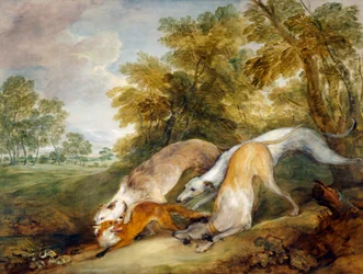 Lévriers chassant un renard