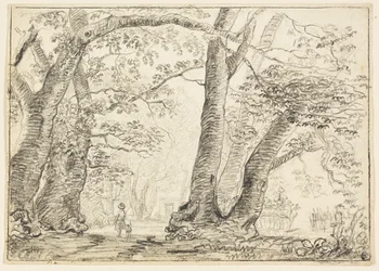 Homme avec chien dans la forêt