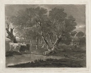 Paysage boisé avec des vaches près d