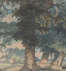 Cerfs dans la forêt de Windsor, 1793-94