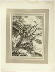 Vieil arbre, du premier numéro de Spécimens de Polyautographie