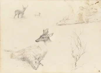 Carnet de croquis de paysages et sujets animaliers