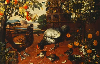 Un coq, une poule et des poussins dans une cour