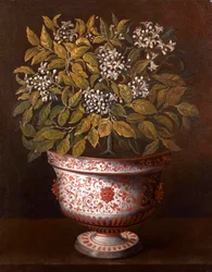 Vase en terre cuite avec un buisson d