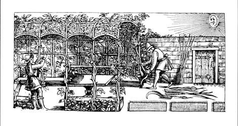 Arche en construction comme ombre contre le soleil, de 